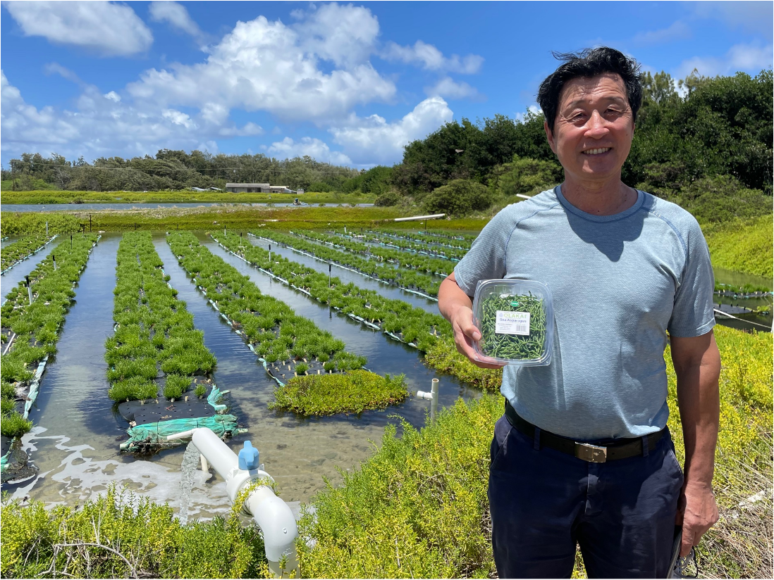 img - asain man in field